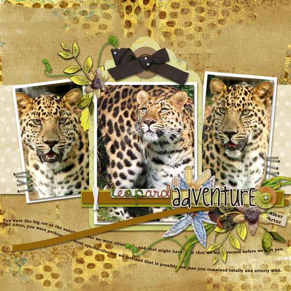 Safari-photoemphasis_vol07_