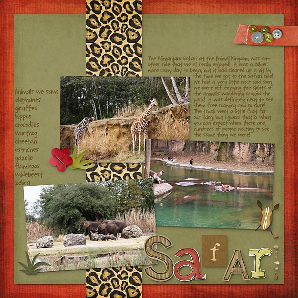 Safari