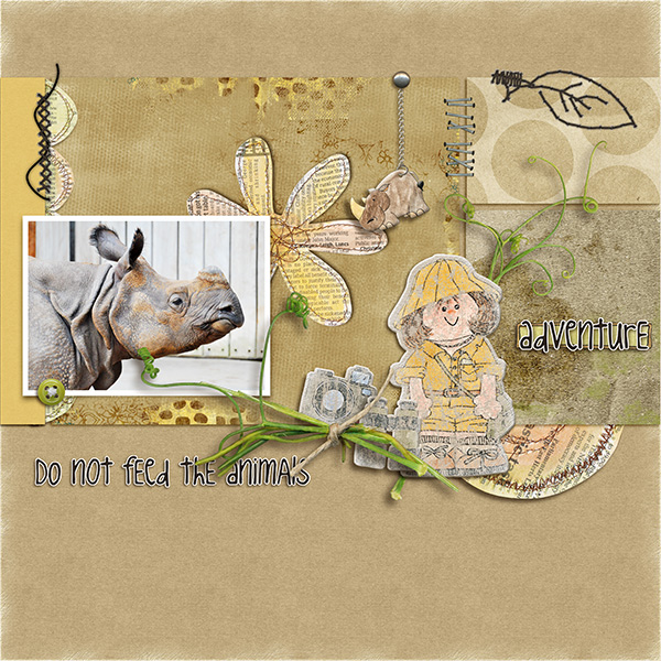 Safari