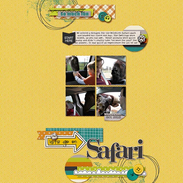 Safari