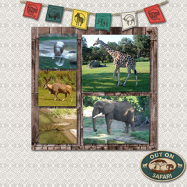 SafariWeb