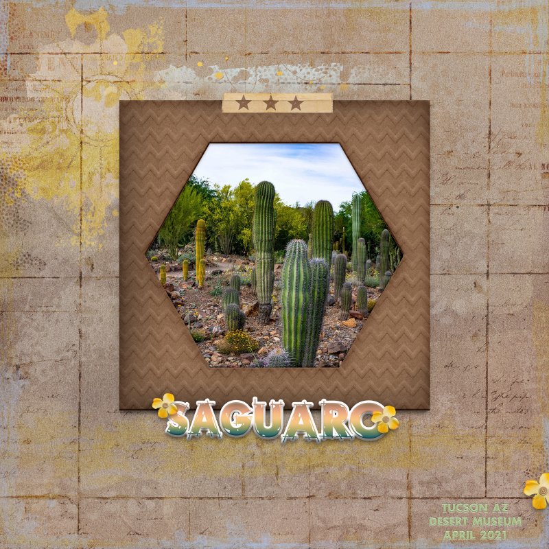 Saguaro