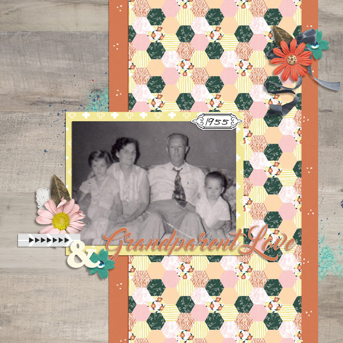 Sahiin-grandparent-love
