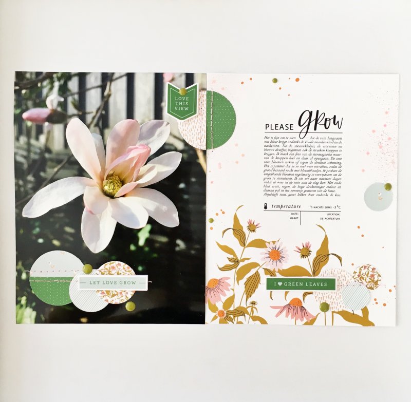 Sahin Designs March Challenge