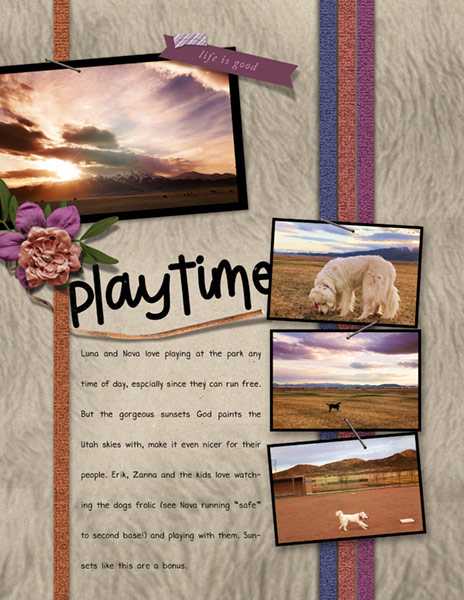 Sahin Designs_04-20_DogsPlaytimeSunset