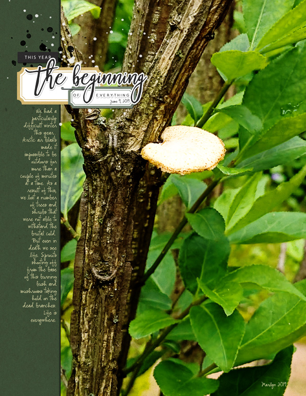 Sahin-Designs_2019-08_August_Day1_web