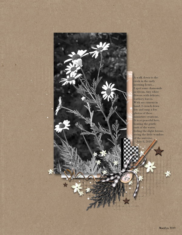 Sahin-Designs_2019-08_August_Day4_web