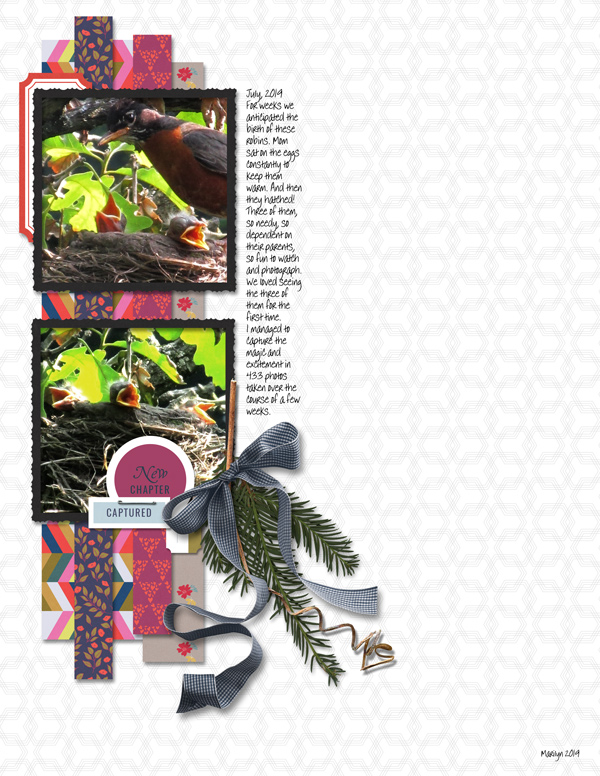 Sahin-Designs_2019-08_August_Day6_web