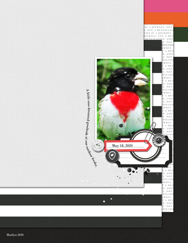 Sahin-Designs_2020-06_June_Blog-Challenge_web