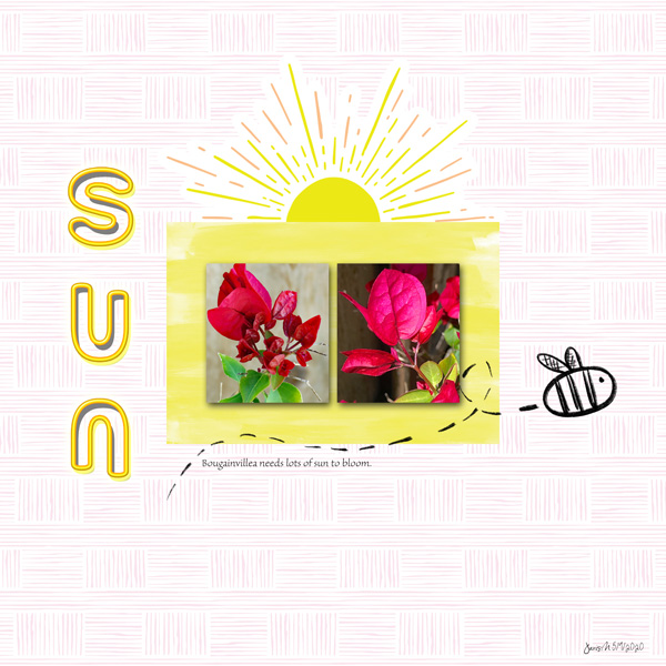 Sahin Designs_sun