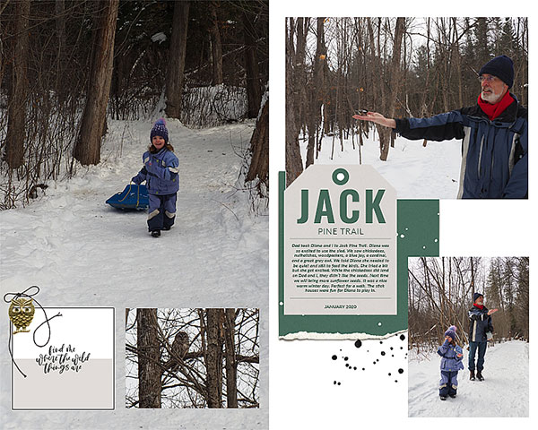 Sahin Jan Challenge - Jack Pine Trail