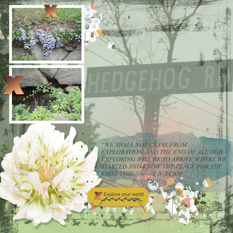 Sahin June Challenge 2021 Hedge Hog Road Explore Take 2