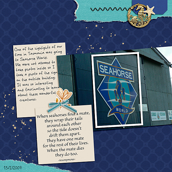 Sahin Recipe January_Seahorses