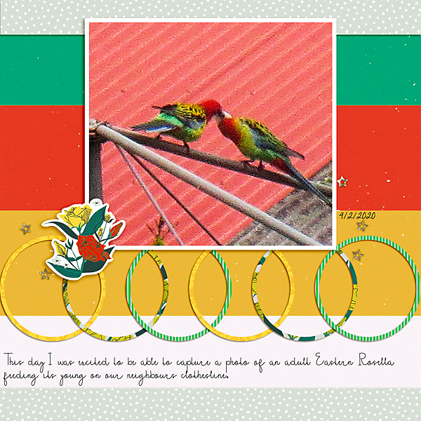 Sahin_Recipe_March_Rosellas