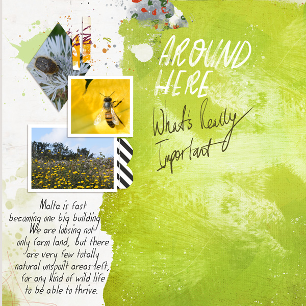 Sahindesigns-2021nov-template