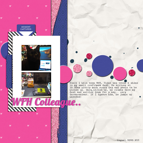 Sahindesigns Challenge: August 2020 - Furry Colleague