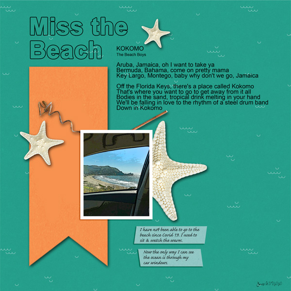 Sahindesigns_missthebeach