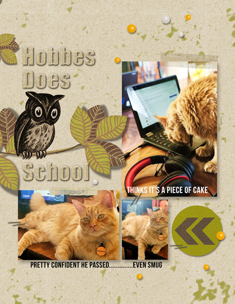 Sahlin Studio Challenge_04-20_Hobbes Does School