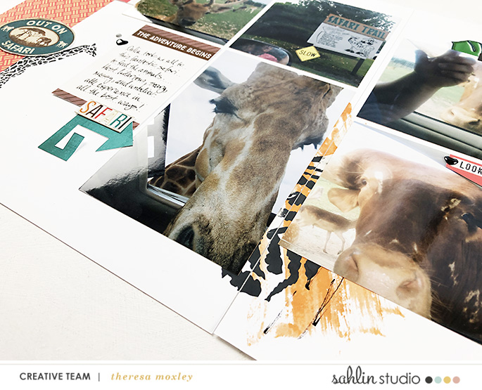 Sahlin Studio CT Theresa Moxley | Ft. Project Mouse Animal