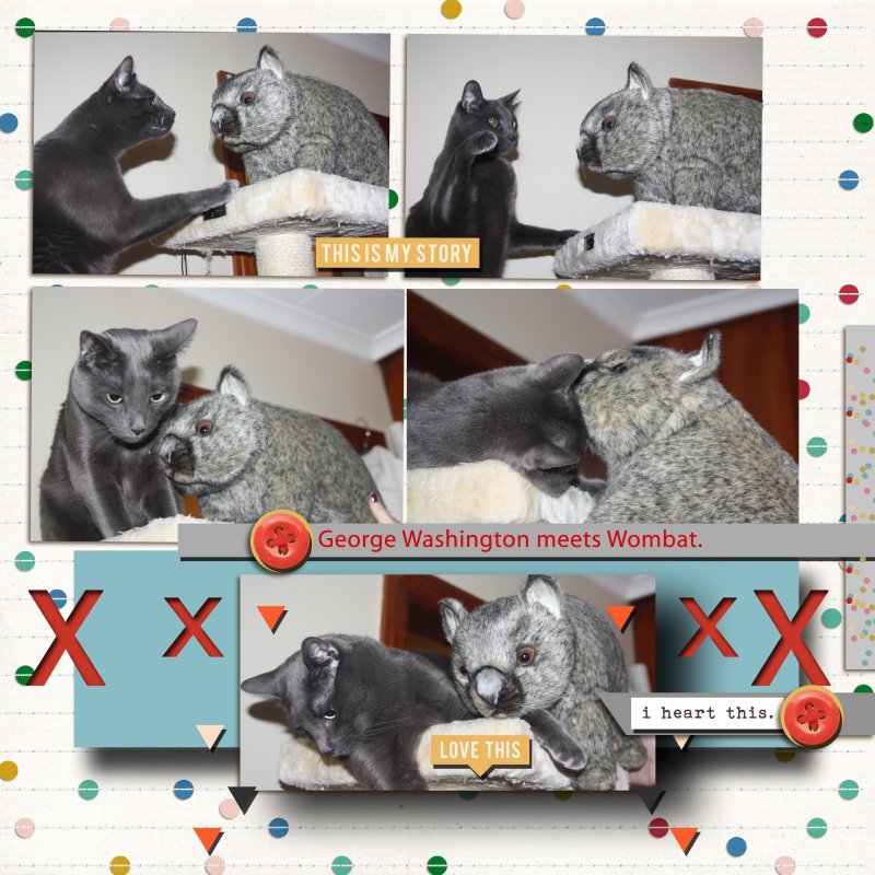 Sahlin Studios March Template Challenge George Washington And The Wombat