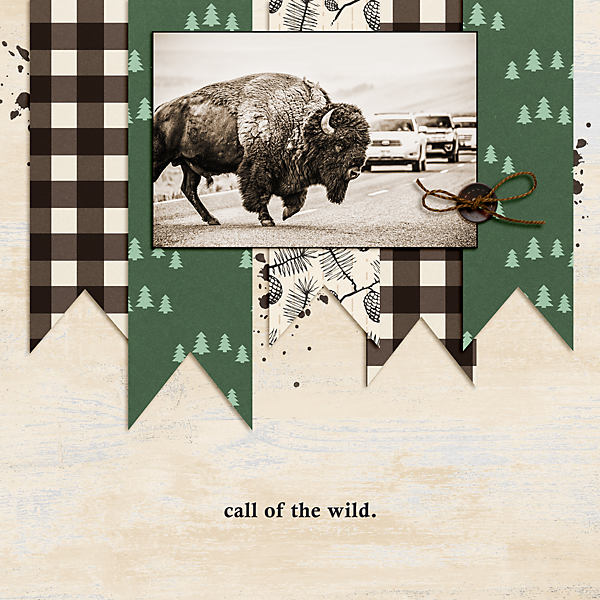 Sahlinstudio_8aug21template_buffalo