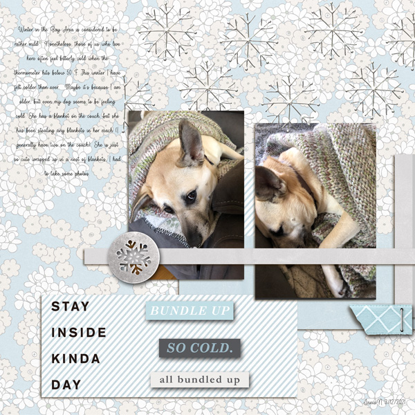 Sahlinstudio_bundledup