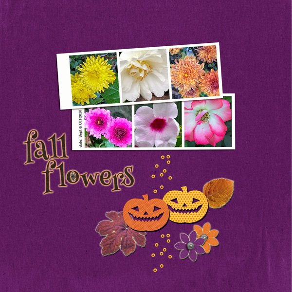 Sahlinstudio_fall Flowers