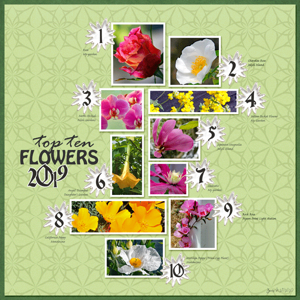 Sahlinstudio_flowers