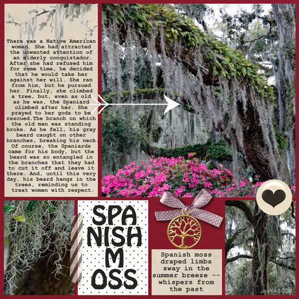 Sahlinstudio_spanishmoss