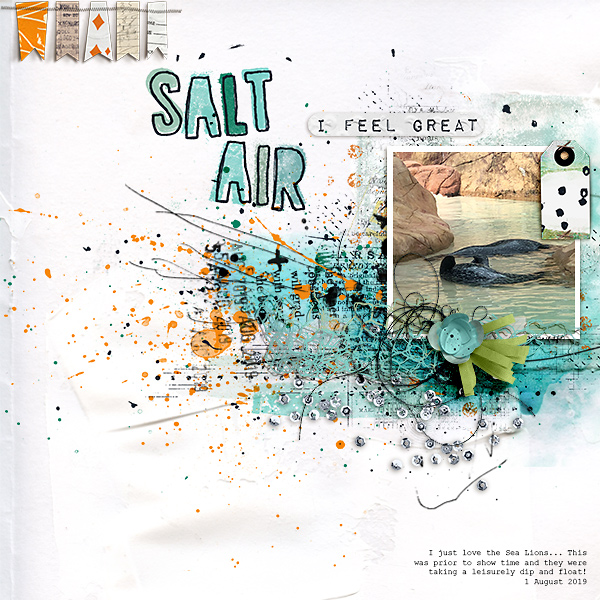 Salt AIr