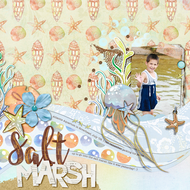Salt Marsh