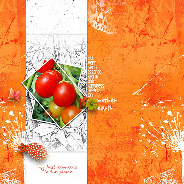 Same-KIT_my-Tomatoes