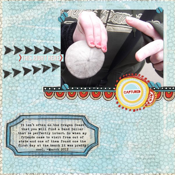 Sand Dollar