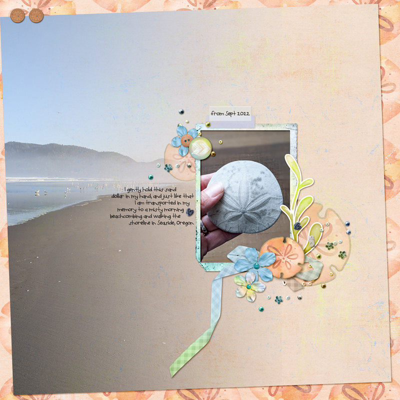 Sand-dollar
