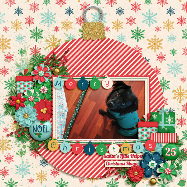 Santa's little Helper