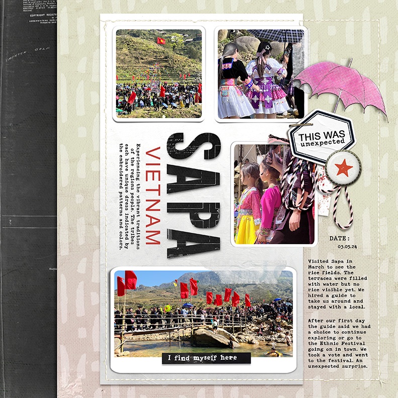 SAPA.jpg