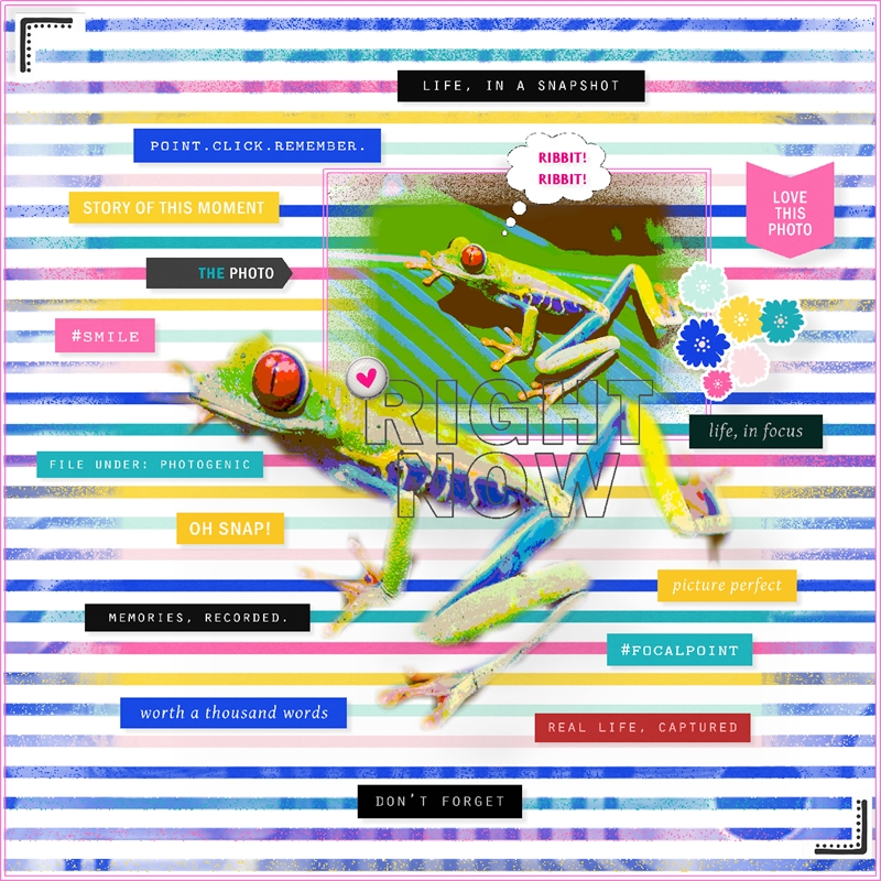 Sara Gleason-May-Story Prompt Challenge-Live Out Loud-Froggy Life