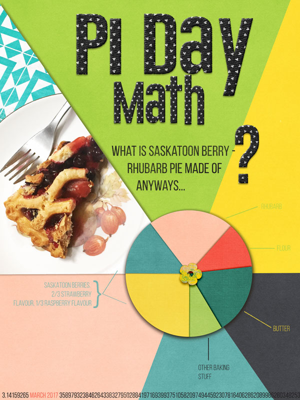 Saskatoonberry Pi Day