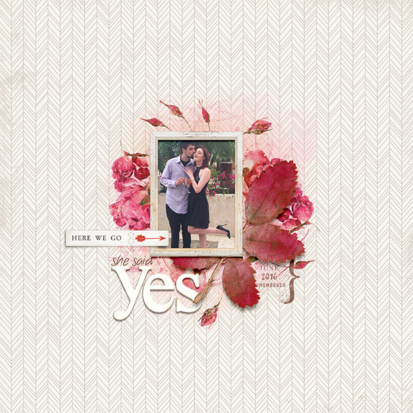 Say Yes