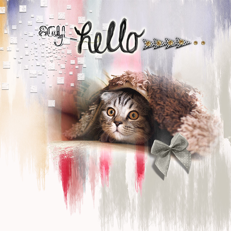 Sayhello