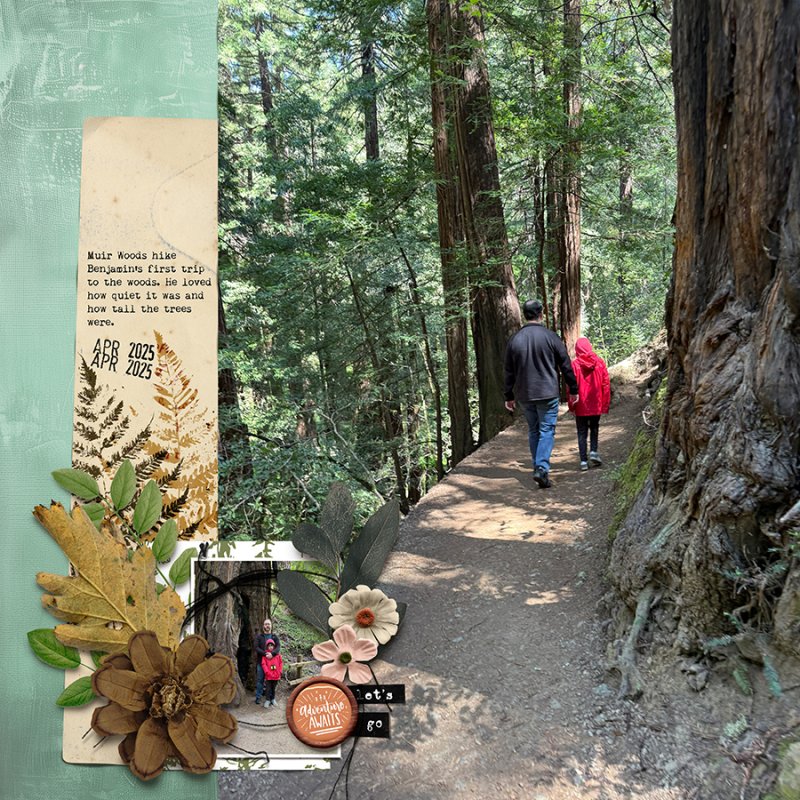 SC2025_week6_NaturePhotoS