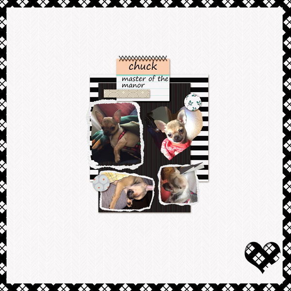 Sc_februarytemplatechallenge-chuck