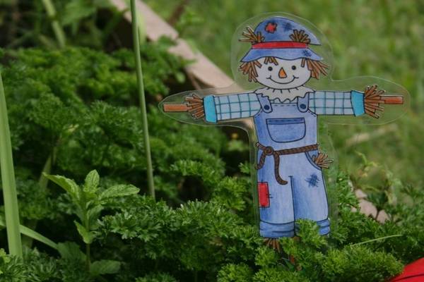Scarecaterpillar Herb Garden Kit