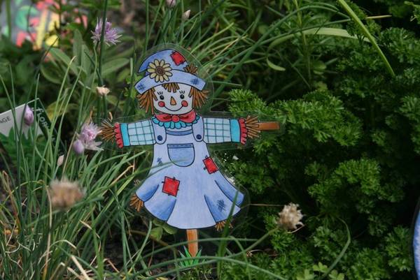 Scarecaterpillar Herb Garden Kit