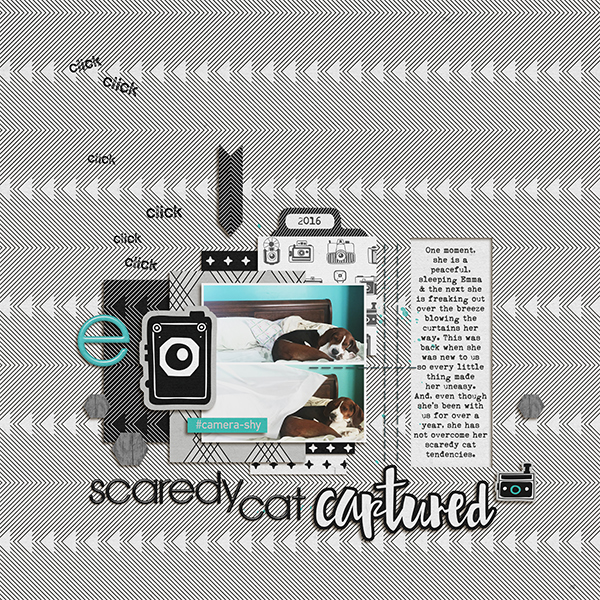 Scaredy Cat Captured