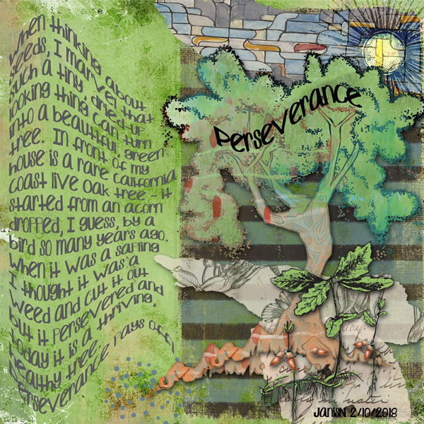 ScaredyCat_Seed1
