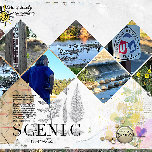 Scenic Route
