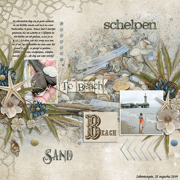 Schelpen