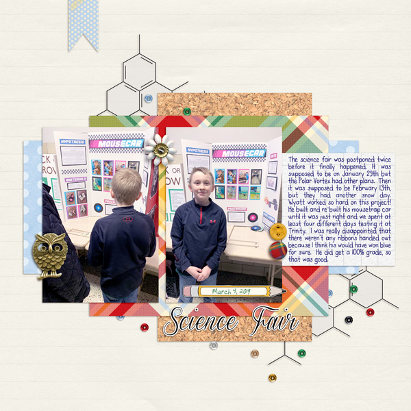 Science Fair 2019
