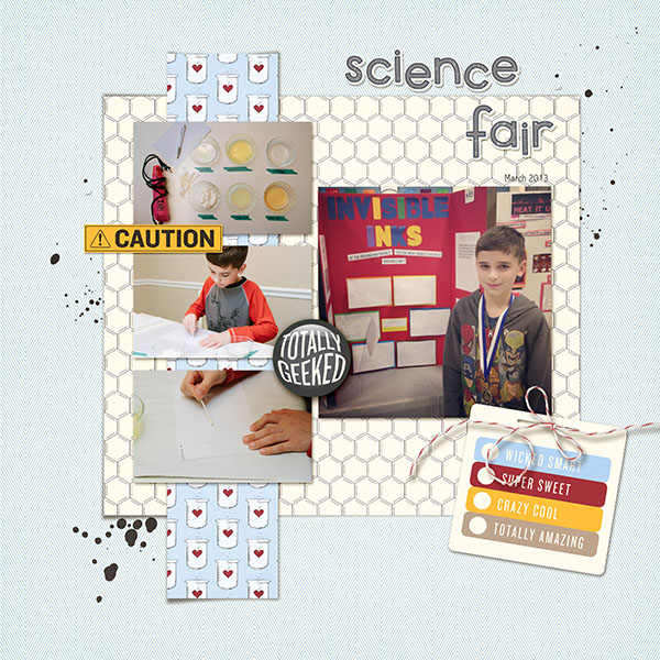 Science Fair